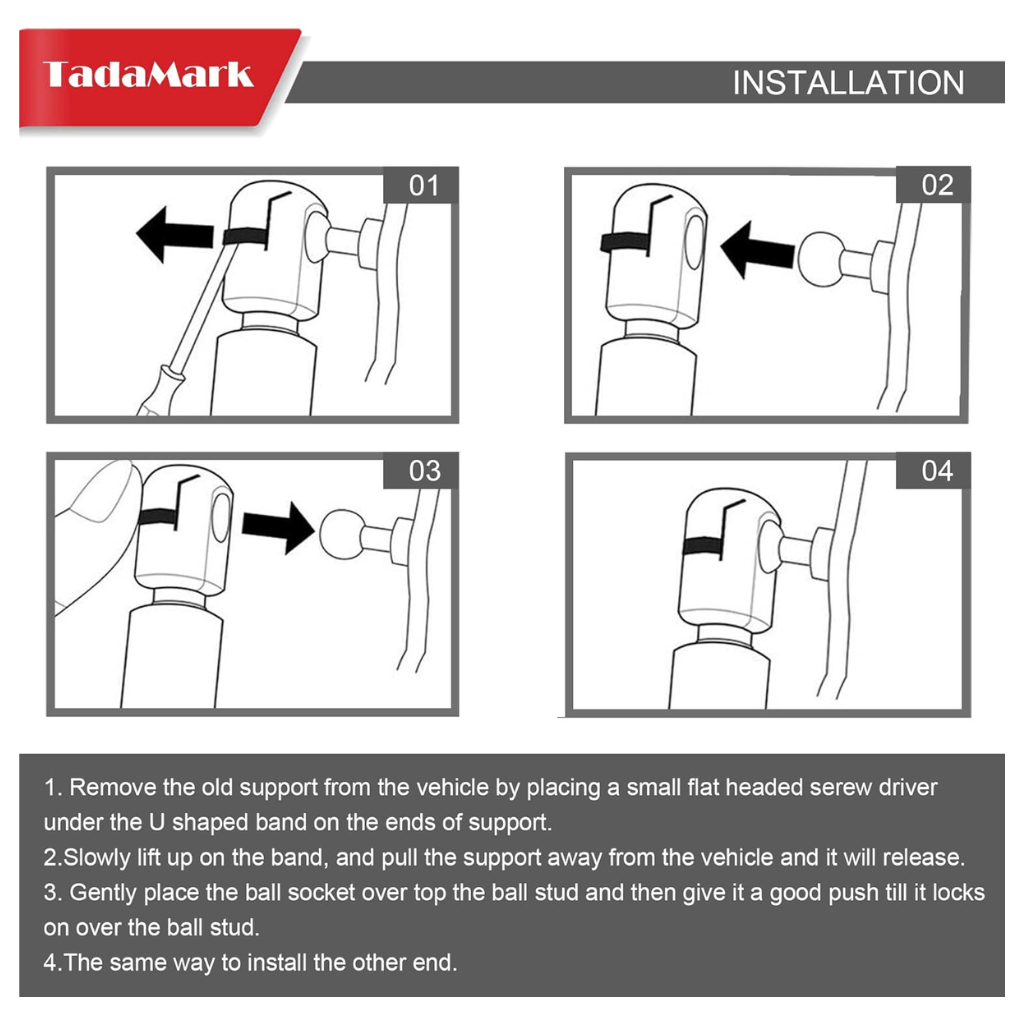 RASE Tire and Auto LLC  Qty(2) Rear Window Glass Lift Supports Rods Shocks Struts Gas Springs 2002 Mercury Mountaineer | Ford Explorer