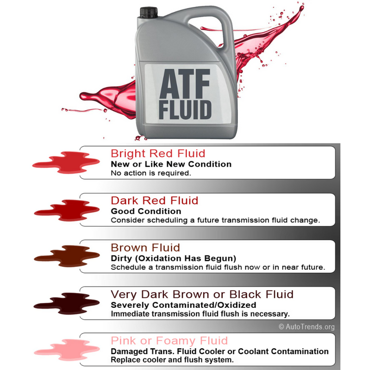 Transmission Fluid