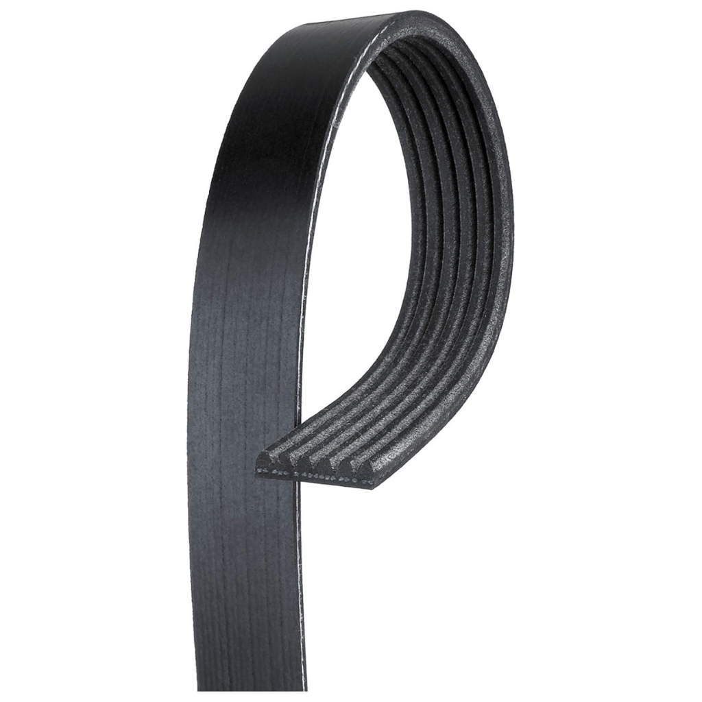 RASE Tire and Auto LLC  K061025 (6PK2601) V-Groove Belt