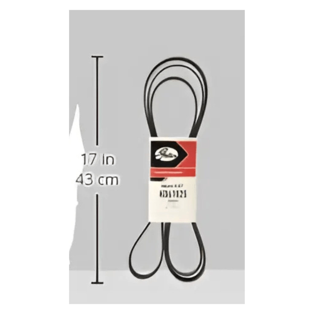 RASE Tire and Auto LLC  K061025 (6PK2601) V-Groove Belt