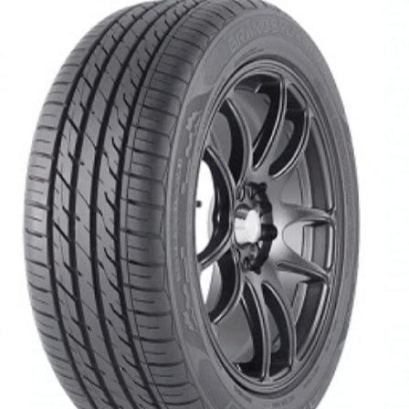 RASE Tire and Auto LLC  Tires ARROYO — 225/45ZR17 GRAND SPORT A/S