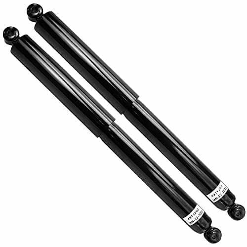 RASE Tire and Auto LLC Ford F-150 Pair (1) Complete Shock Absober Assembly Fit Rear Left & Right 2WD